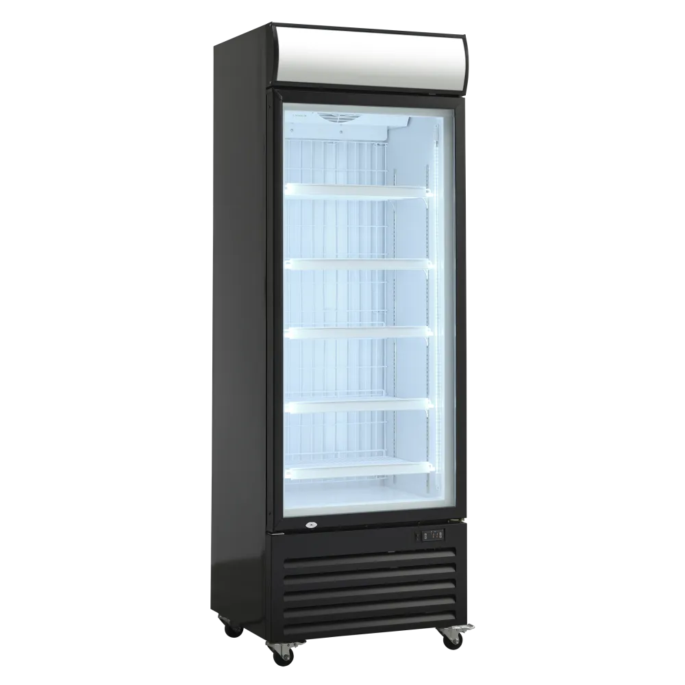 Vitrine congélateur SCANDOMESTIC 25324010000DF400BD