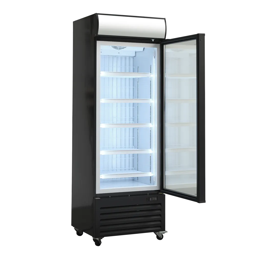 Vitrine congélateur SCANDOMESTIC 25324010000DF400BD