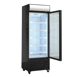Vitrine congélateur SCANDOMESTIC 25324010000DF400BD