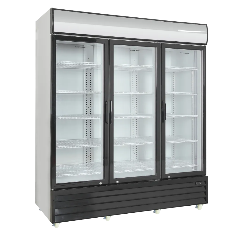 Armoire réfrigérée vitrée SCANDOMESTIC 26311502HE310000