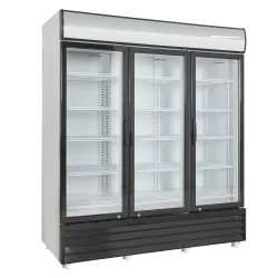 Armoire réfrigérée vitrée SCANDOMESTIC 26311502HE310000