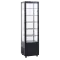 Armoire réfrigérée vitrée SCANDOMESTIC 19310287BE10000