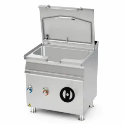 Friteuse électrique LOTUS 08130830