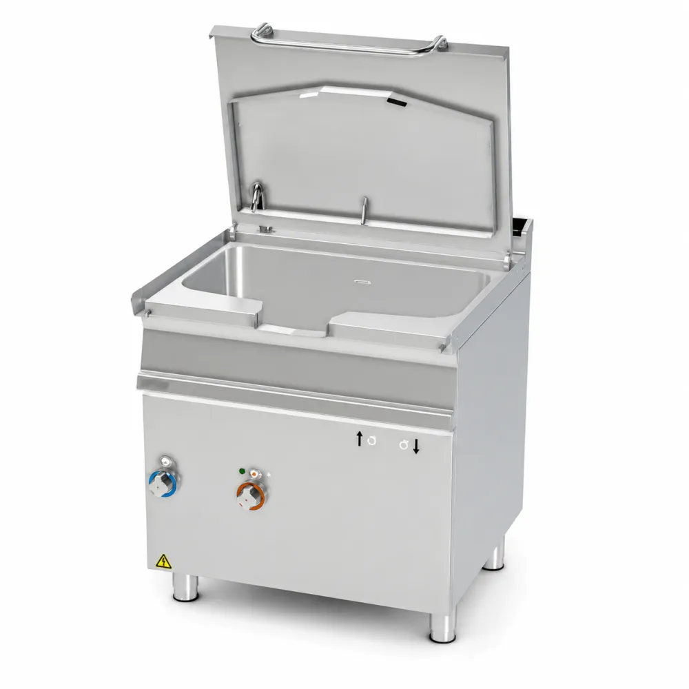 Friteuse électrique LOTUS 08130831X