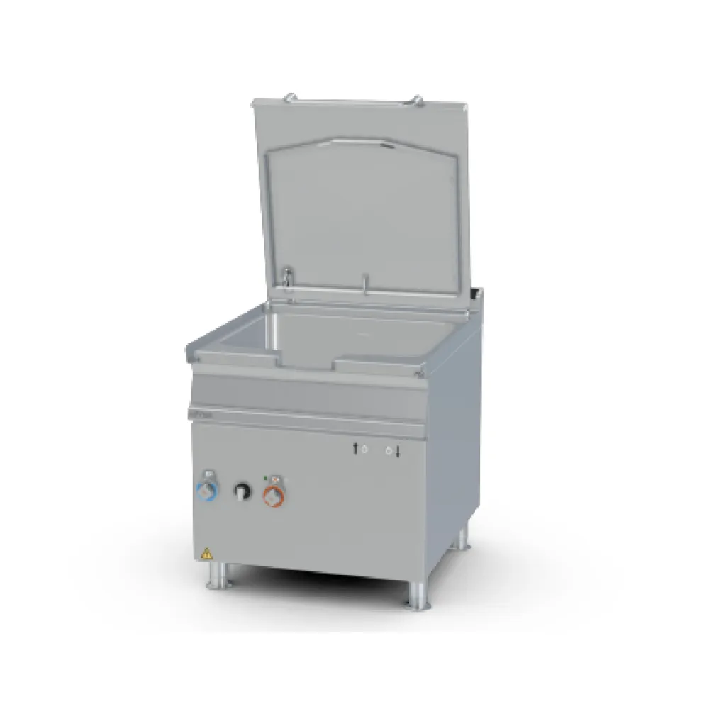 Friteuse électrique LOTUS 09130831